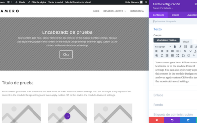 Gestionar páginas con DIVI